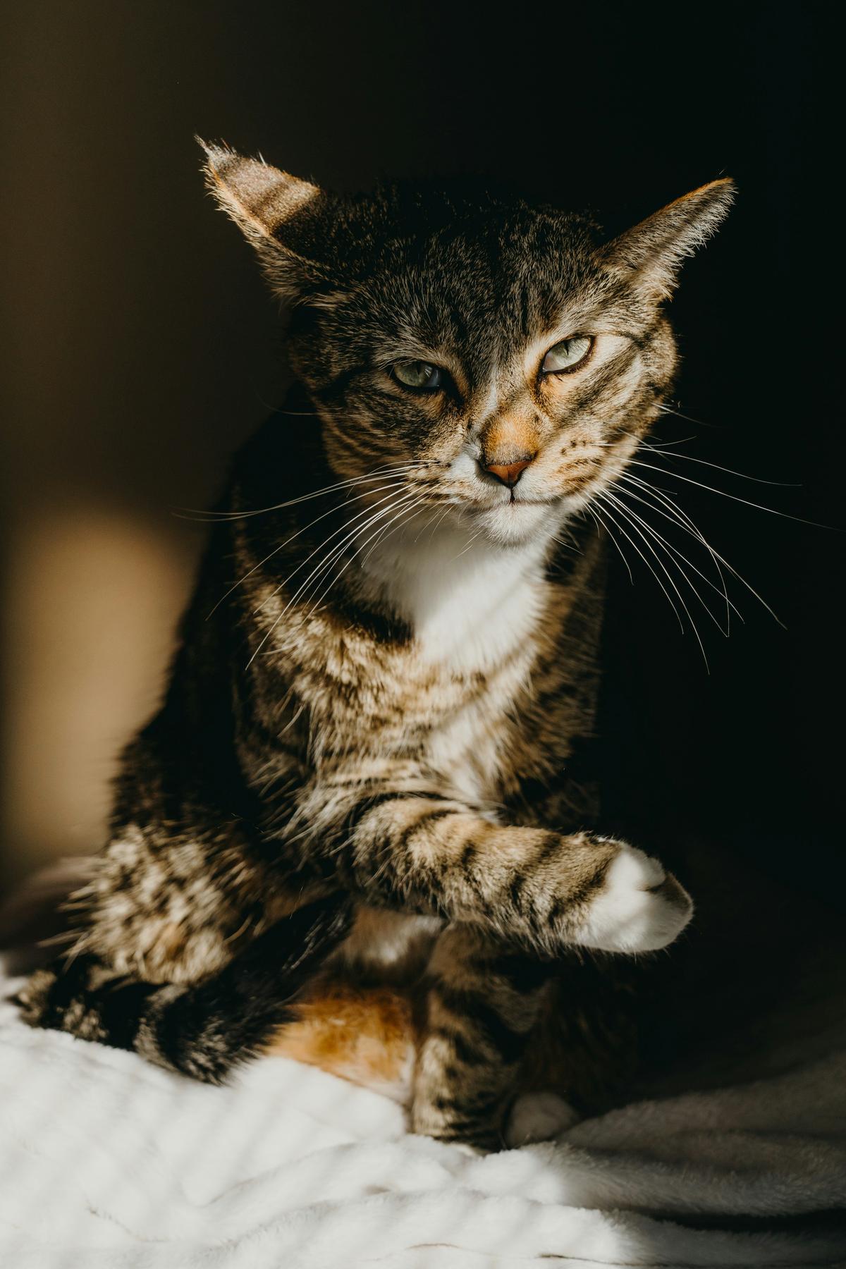drew hays ppC8AnHbKU0 unsplash