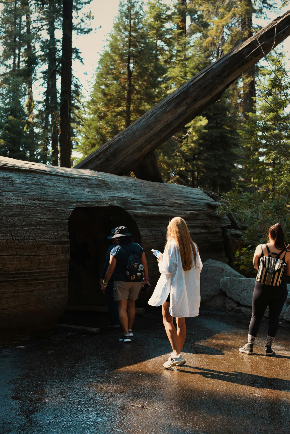 katie mukhina qQSsU V32yg unsplash