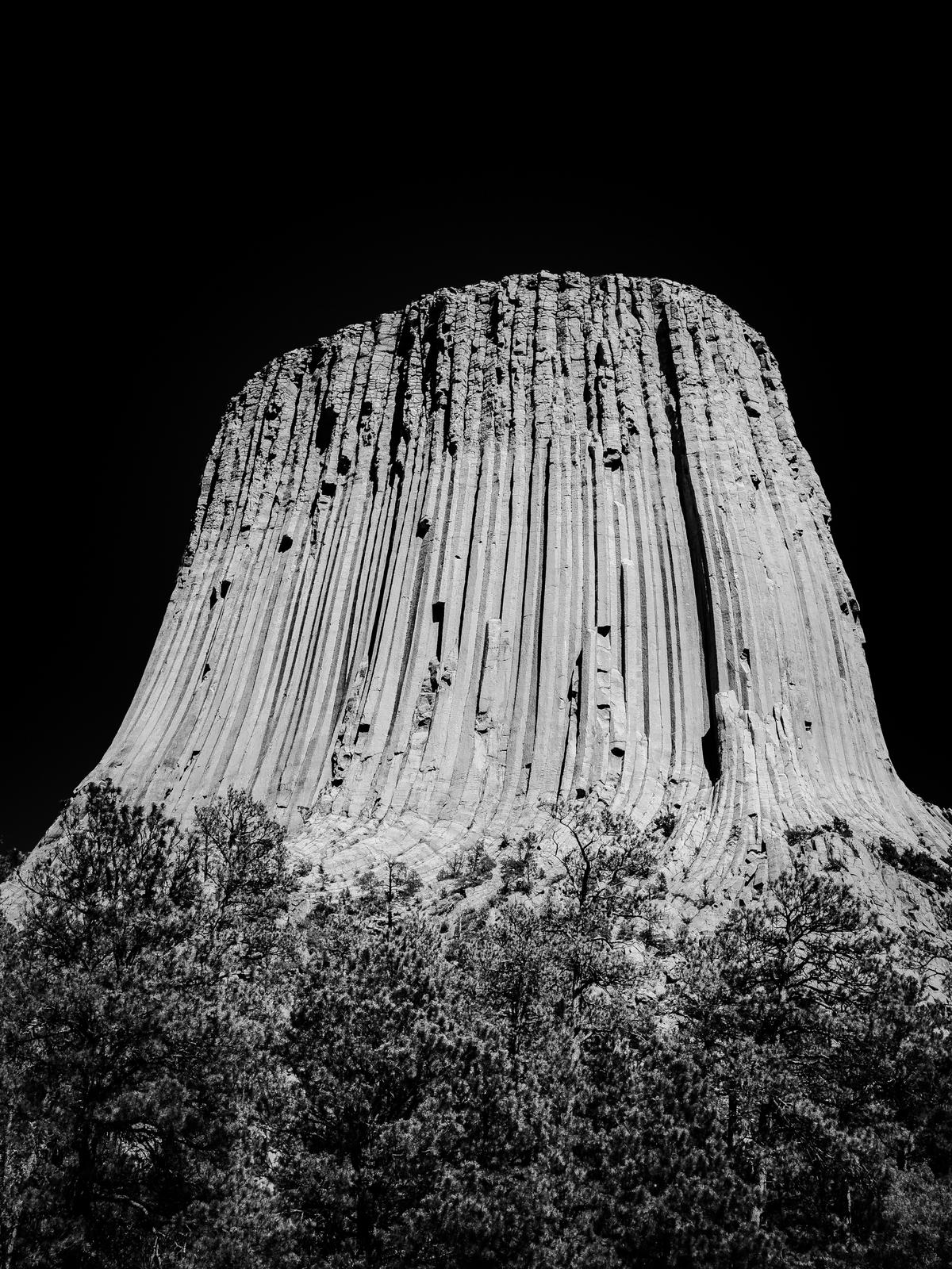 sebastian schuster mV3jy9VFB0M unsplash